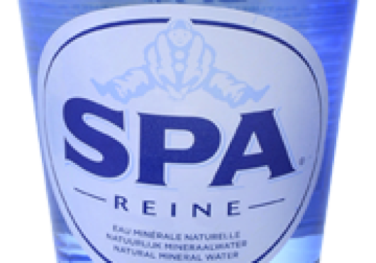 Spa Blauw petfles 24x0,5 Ltr groot