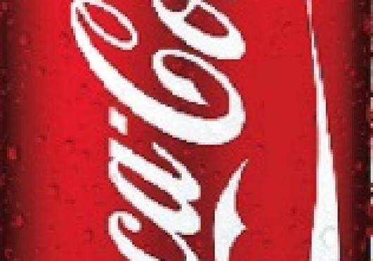 Coca-cola DAN blikjes 24x33 cl