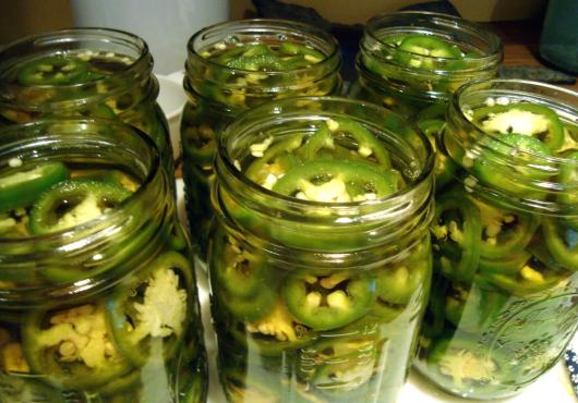 Jalapeno pepers schijves 3kg